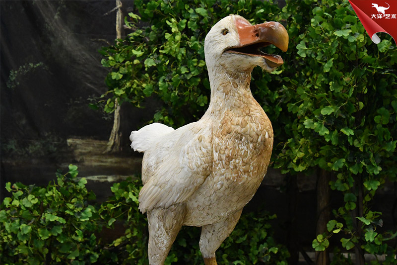 仿真動物-渡渡鳥